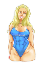 Load image into Gallery viewer, PIN-UP STICKER SHEET V1